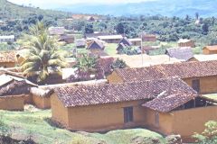 Peru - Lamas