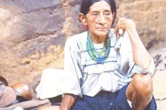 Peru - Lamas