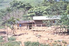 Peru - Tarapoto