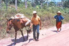Peru - Rioja
