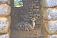 Peru - Machu Picchu