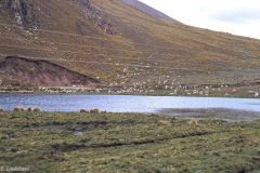 Peru - On the way to Puno