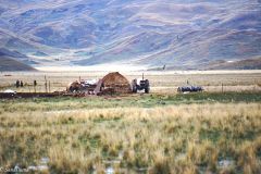 Peru - On the way to Puno