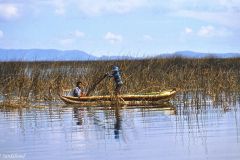 Peru - Titicaca - Los Uros