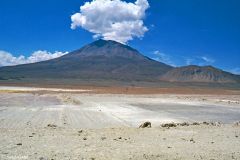 Bolivia - Train to southwest