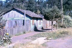 Chile - Pucon