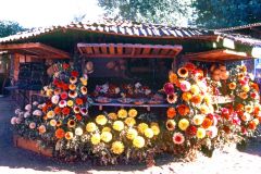 Chile - Pucon - Flowers made of wood