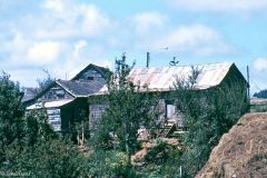 Chile - Puerto Varas