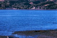 Chile - Chiloe - Dalcahue
