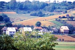 Hungary - Towards Balaton