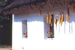 Hungary - Balaton - Tihany