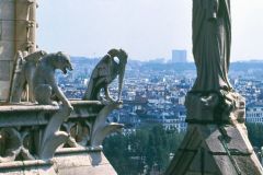 France - Paris - Rooftop demons on Notre Dame
