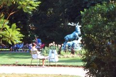 France - Paris - Jardin du Luxembourg