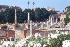 Italy - Roma - Forum Romanum