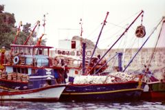 Turkey - Antalya Harbour