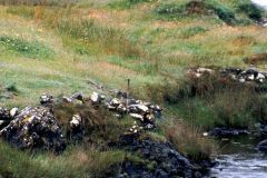 Ireland - Galway County