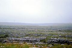 Ireland - Clare County - The Burren