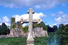 Ireland - Clare County - Quin (Ennis)