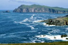 Ireland - Kerry County - Dingle - Stea Head