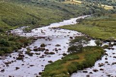 Ireland - Kerry County - Dingle