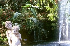 Portugal - Madeira - Funchal