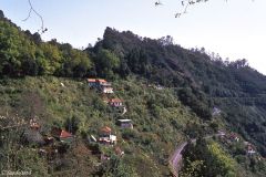Portugal - Madeira - Ribeiro Frio