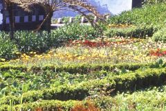Portugal - Madeira - Portela