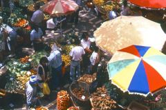 Portugal - Madeira - Funchal