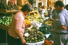Portugal - Madeira - Funchal