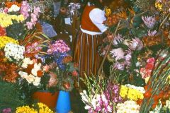 Portugal - Madeira - Funchal
