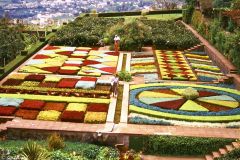 Portugal - Madeira - Funchal