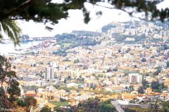 Portugal - Madeira - Funchal