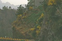 Portugal - Madeira