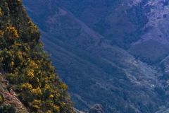 Portugal - Madeira
