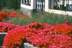 Portugal - Madeira