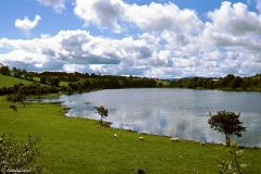 Northern Ireland - Lough Brickland
