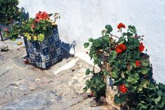 Greece - Skopelos