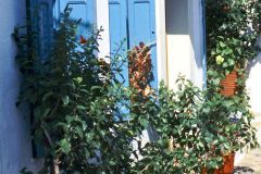 Greece - Skopelos