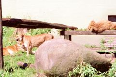 Denmark - Aalborg Zoo
