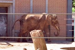 Denmark - Aalborg Zoo