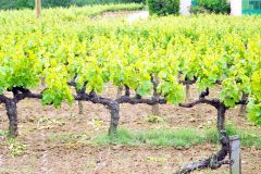 France - Provence