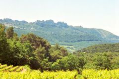 France - Provence - Les Dentelles