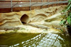 France - Provence - Pierrelatte Crocodile Farm