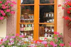 France - Alsace - Bergheim