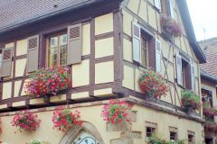 France - Alsace - Bergheim