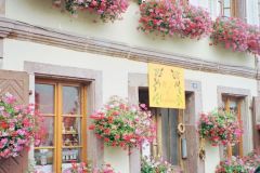 France - Alsace - Bergheim