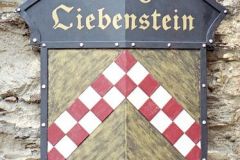 Germany - River Rhine - Burg Liebenstein