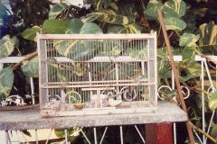 Cuba - Pinar del Rio