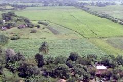 Cuba - Valle de los Ingenios