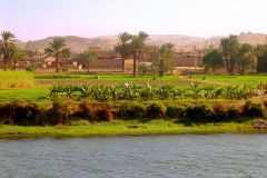 Egypt - The Nile River
